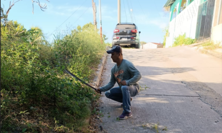 ORNATO MUNICIPAL. Bo. El Porvenir.