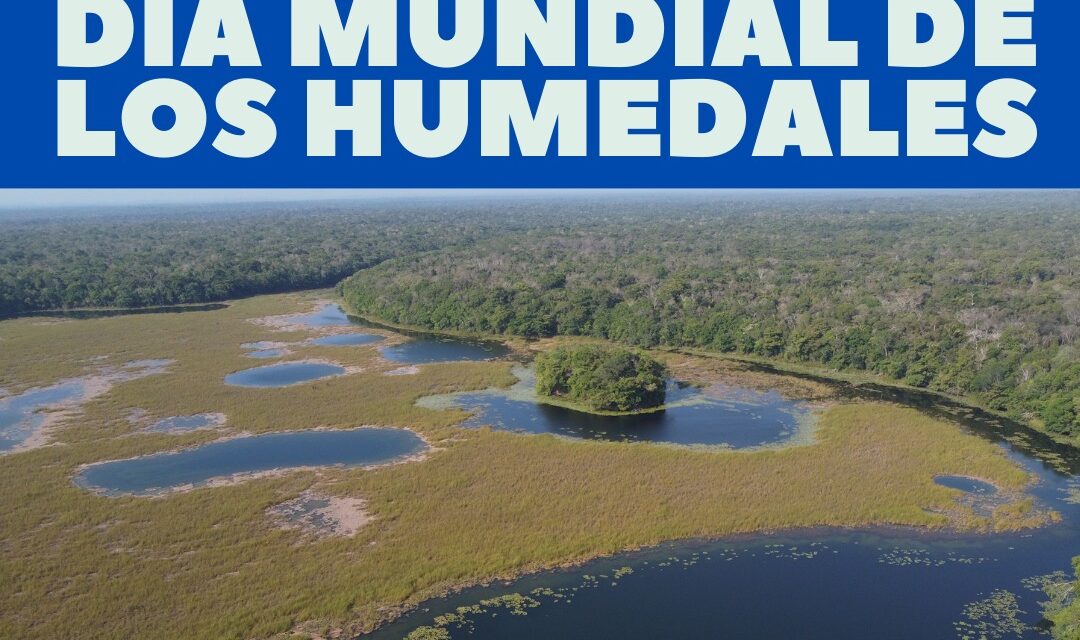 DIA MUNDIAL DE LOS HUMEDALES. 2 de febrero