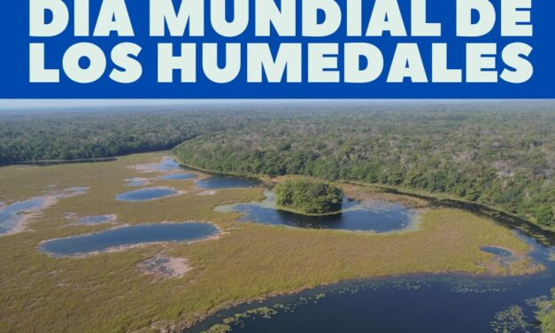 DIA MUNDIAL DE LOS HUMEDALES. 2 de febrero