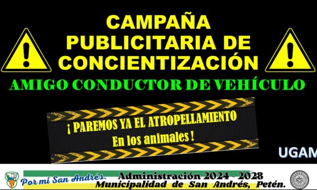 Campaña Publicitaria «PAREMOS YA EL ATROPELLAMIENTO»