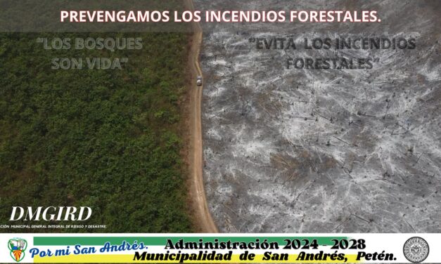 PREVENGAMOS LOS INCENDIOS FORESTALES.