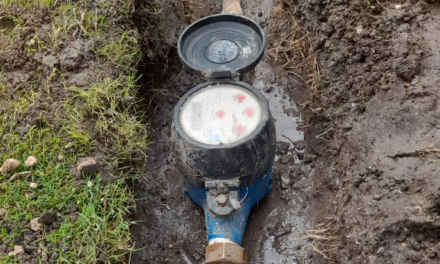 REVISIÓN Y MANTENIMIENTO DE CONTADORES.