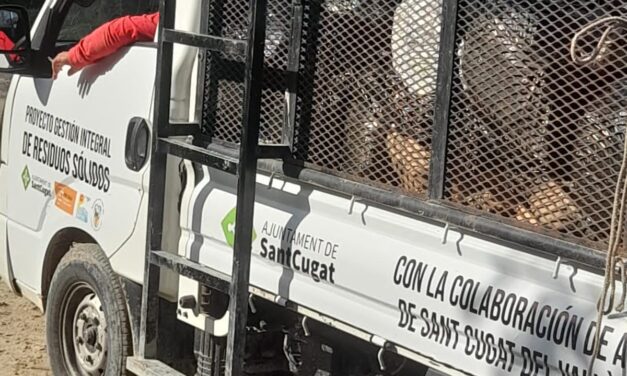 Trabajos de Recolección de basura en Caserío Cruce dos Aguadas. San Andrés, Petén.