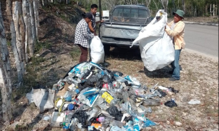 APOYO A VECINOS QUE APLICAN EL ORNATO EN SU SECTOR.