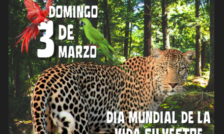 Día Mundial de la Vida Silvestre
