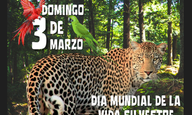 Día Mundial de la Vida Silvestre