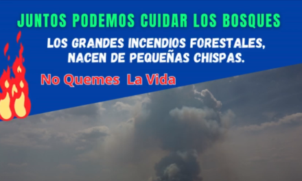 PREVENCIÓN DE INCENDIOS FORESTALES.