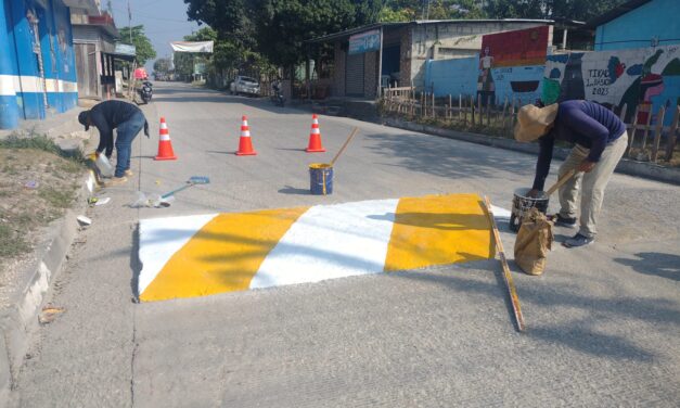 SEÑALIZACIÓN VIAL. Calle principal ruta a Carmelita.