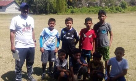 SEGUIMIENTO DE VISORIAS 2024.