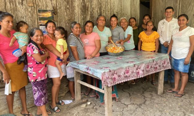 SEGURIDAD ALIMENTARIA Y NUTRICIONAL