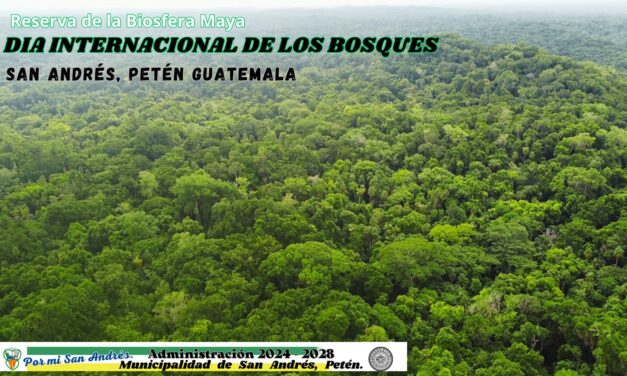 DIA INTERNACIONAL DE LOS BOSQUES.