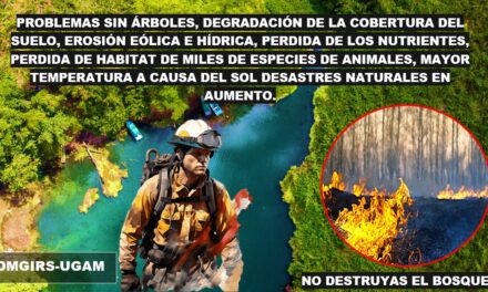 ¡SI LO VES INCENDIOS REPORTALO!!! AL TEL. 199