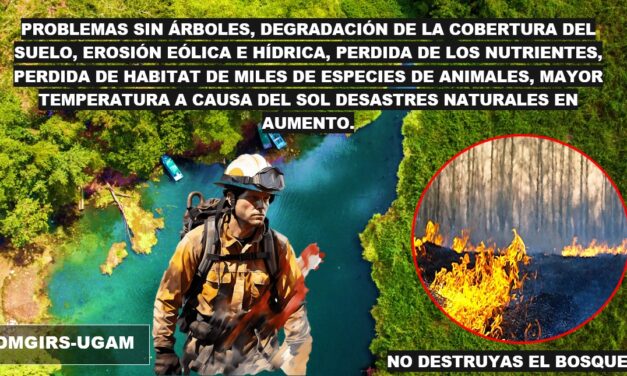 ¡SI LO VES INCENDIOS REPORTALO!!! AL TEL. 199