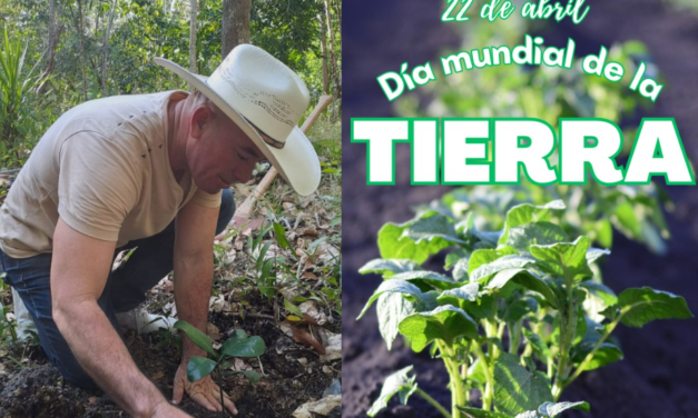 LA IMPORTANCIA DE LOS ÁRBOLES Y LA TIERRA.