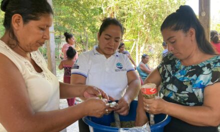 SEGURIDAD ALIMENTARIA Y NUTRICIONAL.