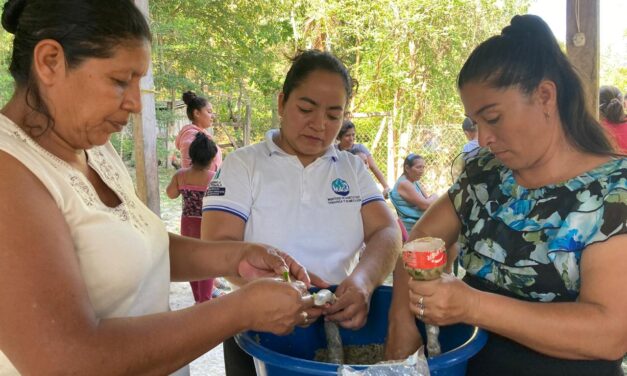 SEGURIDAD ALIMENTARIA Y NUTRICIONAL.