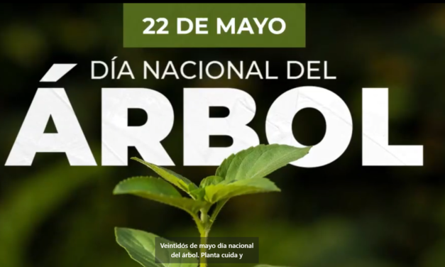 22 de Mayo Dia del Árbol