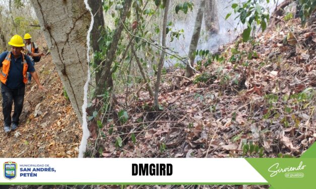 MONITOREO DE PREVENTIVO. Áreas municipales.