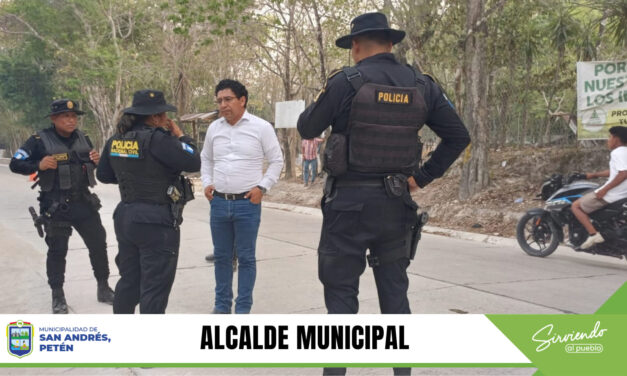 SEGUIMIENTO A ACCIONES DE SEGURIDAD CIUDADANA.