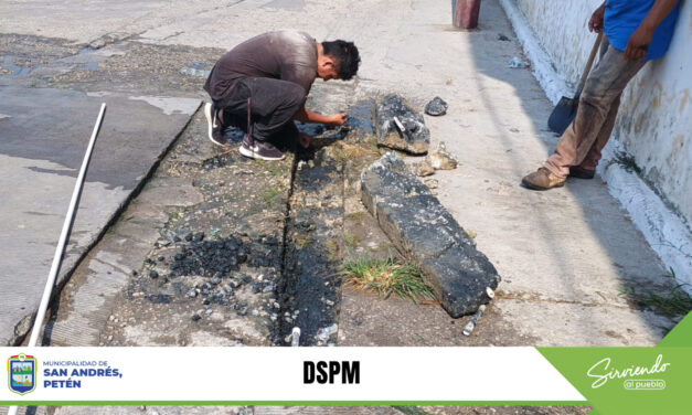 SERVICIOS PÚBLICOS MUNICIPALES.