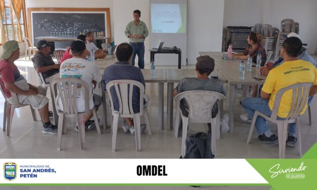 ACOMPAÑAMIENTO PARA SU ORGANIZACIÓN.