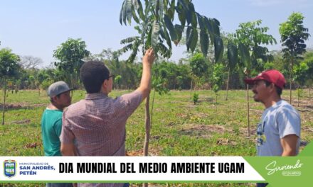 DIA MUNDIAL DEL MEDIO AMBIENTE.