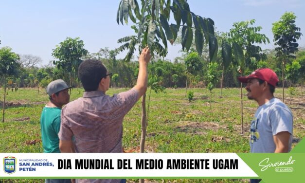 DIA MUNDIAL DEL MEDIO AMBIENTE.