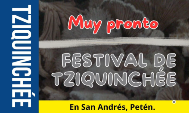 Festival de Tziquincheé