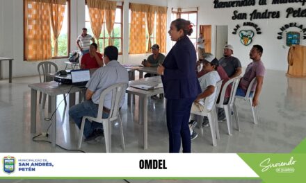 ACOMPAÑAMIENTO PARA SU ORGANIZACIÓN.