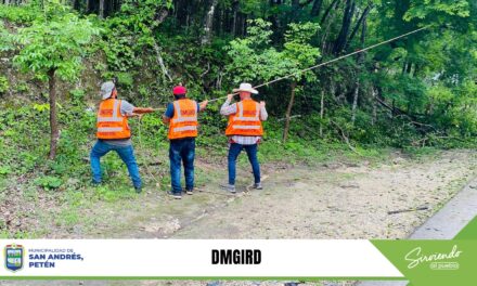REMOCIÓN DE ÁRBOL CAIDO. San Andrés, Petén.
