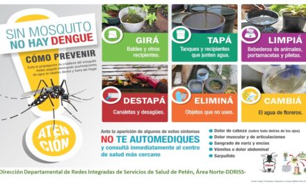 SIN MOSQUITOS NO HAY DENGUE.