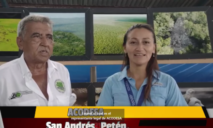 FERIA DE ARTESANÍAS ARTE Y CULTURA. San Andrés, Petén.