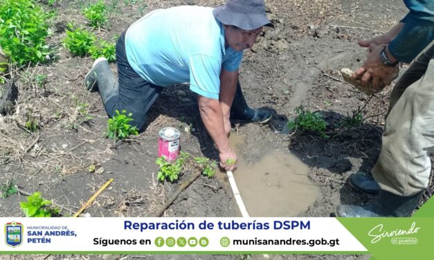 REPARACIÓN DE TUBERÍAS DISTRIBUIDORAS DE AGUA.