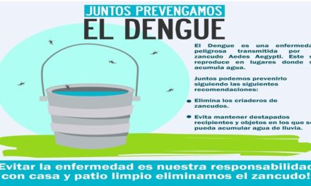 JUNTOS PREVENGAMOS EL DENGUE.