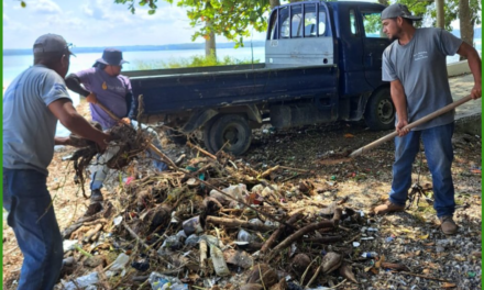 ORNATO MUNICIPAL. Playas Limpias.