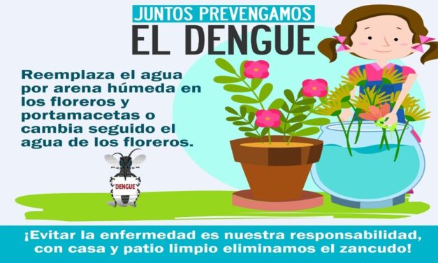 JUNTOS PREVENGAMOS EL DENGUE.