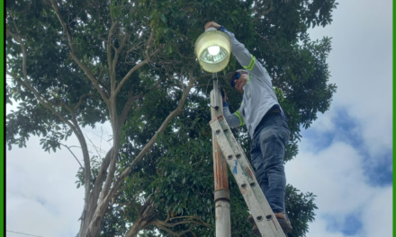 ILUMINACIÓN DE ÁREAS PÚBLICAS.
