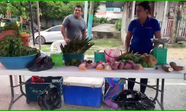Comuna de San Andrés Agradece la Participación de Productores Agrícolas