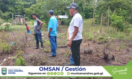 SIEMBRA DE ÁRBOLES FRUTALES.