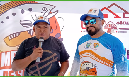 PESCA ARTESANAL Categoría pesca de sardinas