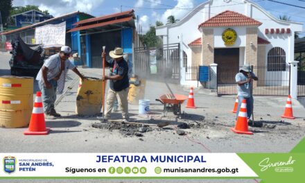 JARDINIZACIÓN CALLES PRINCIPALES.