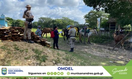 POR UN TRATO DIGNO Y RESPETUOSO DE ÉQUIDOS DE TRABAJO DEL SECTOR TURISMO COMUNITARIO