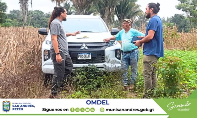 IMPLEMENTACIÓN DEL SISTEMA AGROFORESTAL.