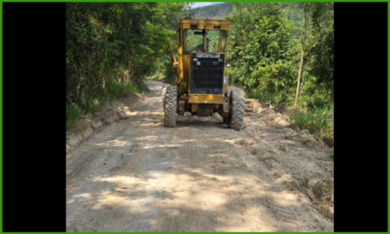 TRABAJOS DE BACHEO RUTA CARMELITA San Andrés, Petén.