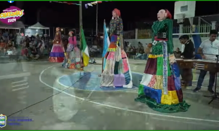 DEL CONCURSO DE CHATONAS 2024.