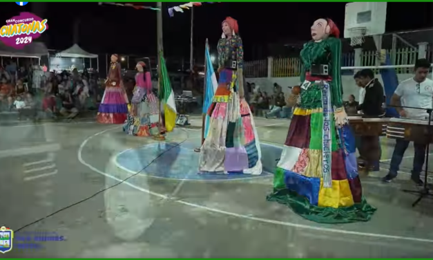 DEL CONCURSO DE CHATONAS 2024.