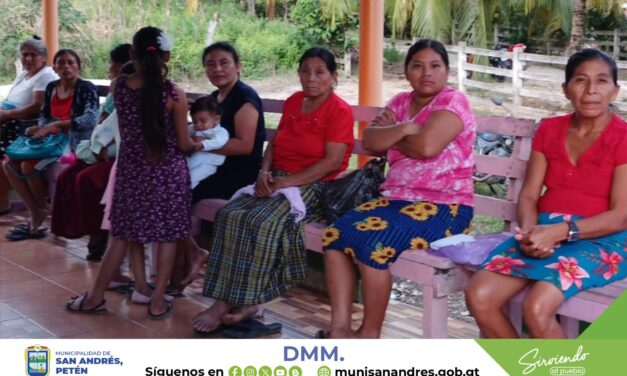 ACOMPAÑAMIENTO Y GESTIÓN.