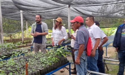 INTERCAMBIO DE EXPERIENCIAS AGROFORESTAL Y SILVOPATORIL