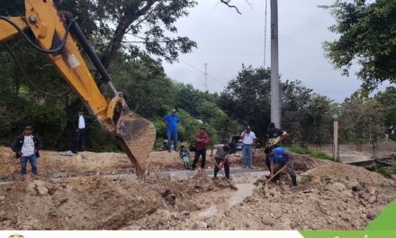 Fontaneros en Acción