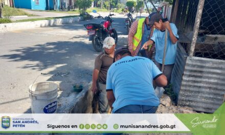 Información Importante